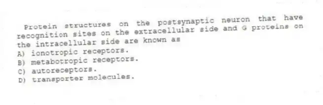 Protein structures on the postsynaptic neuron that have recognition sites on the extracellular side and G proteins on the intracellular side are known as
A) ionotropic receptors.
B) metabotropic receptors.
C) autoreceptors.
D) transporter molecules.
