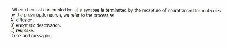 When chemical communication at a synapse is terminated by the recapture of neurotransmitter molecules by the presynaptic neuron, we refer to the process as
A) diffusion.
B) enzymatic deactivation.
C) reuptake.
D) second messaging.