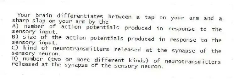 Your brain differentiates between a tap on your arm and a sharp slap on your arm by the
A) number of action potentials produced in response to the sensory input.
B) size of the action potentials produced in response to the sensory input.
C) kind of neurotransmitters released at the synapse of the sensory neuron.
D) number (two or more different kinds) of neurotransmitters released at the synapse of the sensory neuron.