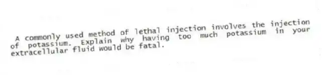 A commonly used method of lethal injection involves the injection of potassium. Explain why having too much potassium in your extracellular fluid would be fatal.