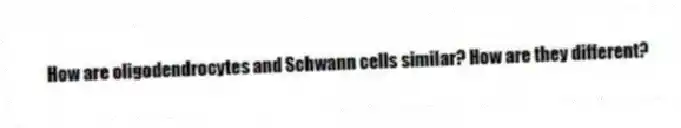 How are oligodendrocytes and Schwann cells similar? How are they different?