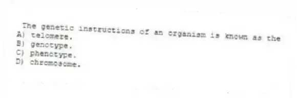  The genetic instructions of an organism is known as the
A) telomere.
B) genotype.
C) phenotype.
D) chromosome.