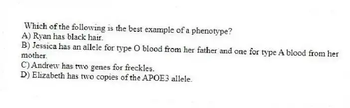 Which of the following is the best example of a phenotype?
A) Ryan has black hair.
B) Jessica has an allele for type O blood from her father and one for type A blood from her mother.
C) Andrew has two genes for freckles.
D) Elizabeth has two copies of the APOE3 allele.