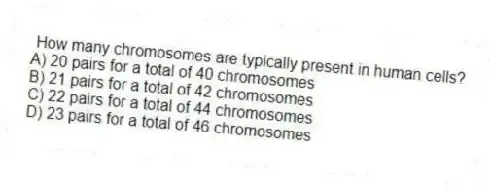 How many chromosomes are typically present in human cells?
A) 20 pairs for a total of 40 chromosomes
B) 21 pairs for a total of 42 chromosomes
C) 22 pairs for a total of 44 chromosomes
D) 23 pairs for a total of 46 chromosomes