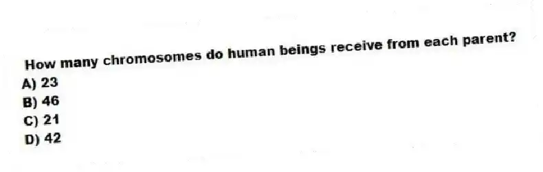 How many chromosomes do human beings receive from each parent?
A) 23
B) 46
C) 21
D) 42