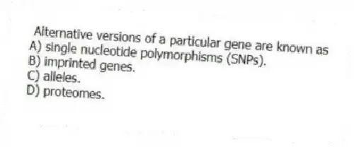 Alternative versions of a particular gene are known as
A) single nucleotide polymorphisms (SNPs).
B) imprinted genes.
C) alleles.
D) proteomes.