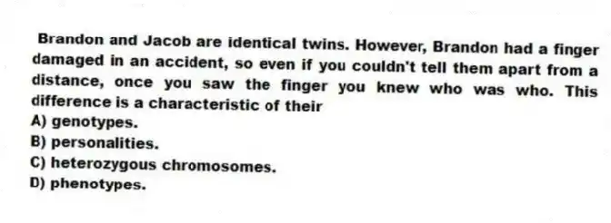 Brandon and Jacob are identical twins. However, Brandon had a finger damaged in an accident, so even if you couldn't tell them apart from a distance, once you saw the finger you knew who was who. This difference is a characteristic of their
A) genotypes.
B) personalities.
C) heterozygous chromosomes.
D) phenotypes.