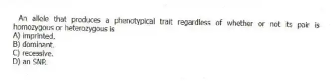 An allele that produces a phenotypical trait regardless of whether or not its pair is homozygous or heterozygous is
A) imprinted.
B) dominant.
C) recessive.
D) an SNP.