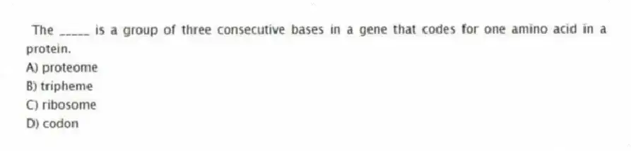 The _____ is a group of three consecutive bases in a gene that codes for one amino acid in a protein.
A) proteome
B) tripheme
C) ribosome
D) codon