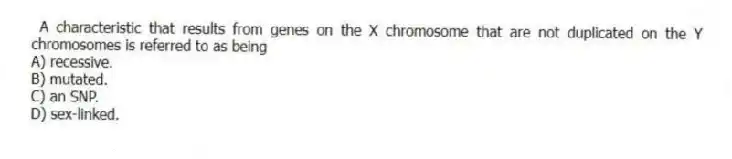 A characteristic that results from genes on the X chromosome that are not duplicated on the Y chromosomes is referred to as being
A) recessive.
B) mutated.
C) an SNP.
D) sex-linked.