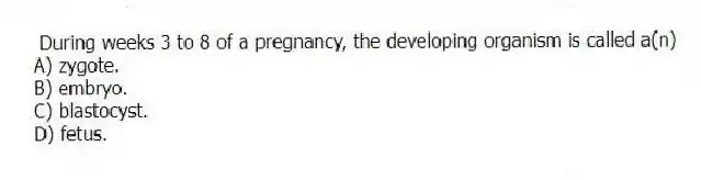 During weeks 3 to 8 of a pregnancy, the developing organism is called a(n)
A) zygote.
B) embryo.
C) blastocyst.
D) fetus.