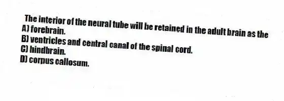 The interior of the neural tube will be retained in the adult brain as the
A) forebrain.
B) ventricles and central canal of the spinal cord.
C) hindbrain.
D) corpus callosum.