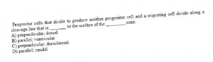 Progenitor cells that divide to produce another progenitor cell and a migrating cell divide along a cleavage line that is _______ to the surface of the ________ zone.
A) perpendicular; dorsal
B) parallel; ventricular
C) perpendicular; dorsolateral
D) parallel; caudal