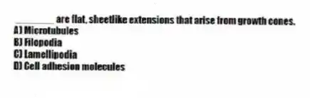 _______ are flat, sheetlike extensions that arise from growth cones.
A) Microtubules
B) Filopodia
C) Lamellipodia
D) Cell adhesion molecules