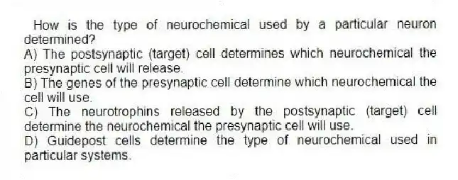 How is the type of neurochemical used by a particular neuron determined?
A) The postsynaptic (target) cell determines which neurochemical the presynaptic cell will release.
B) The genes of the presynaptic cell determine which neurochemical the cell will use.
C) The neurotrophins released by the postsynaptic (target) cell determine the neurochemical the presynaptic cell will use.
D) Guidepost cells determine the type of neurochemical used in particular systems.