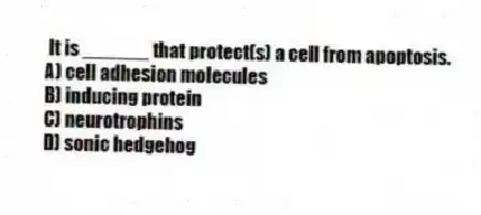 It is ______ that protect(s) a cell from apoptosis.
A) cell adhesion molecules
B) inducing protein
C) neurotrophins
D) sonic hedgehog