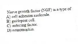 Nerve growth factor (NGF) is a type of
A) cell adhesion molecule.
B) guidepost cell.
C) inducing factor.
D) neurotrophin.