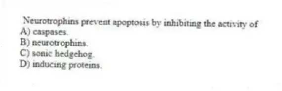 Neurotrophins prevent apoptosis by inhibiting the activity of
A) caspases.
B) neurotrophins.
C) sonic hedgehog.
D) inducing proteins.