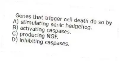 Genes that trigger cell death do so by
A) stimulating sonic hedgehog.
B) activating caspases.
C) producing NGF.
D) inhibiting caspases.
