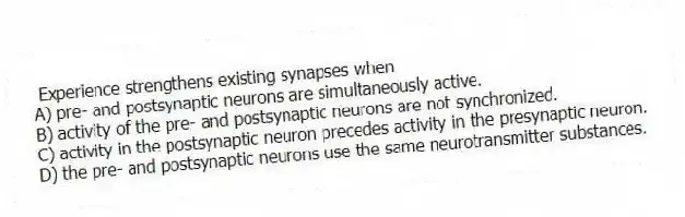 Experience strengthens existing synapses when
A) pre- and postsynaptic neurons are simultaneously active.
B) activity of the pre- and postsynaptic neurons are not synchronized.
C) activity in the postsynaptic neuron precedes activity in the presynaptic neuron.
D) the pre- and postsynaptic neurons use the same neurotransmitter substances.