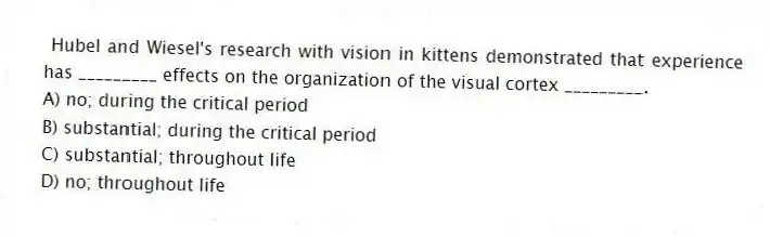 Hubel and Wiesel's research with vision in kittens demonstrated that experience has _________ effects on the organization of the visual cortex _________.
A) no; during the critical period
B) substantial; during the critical period
C) substantial; throughout life
D) no; throughout life