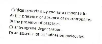 Critical periods may end as a response to
A) the presence or absence of neurotrophins.
B) the presence of caspases.
C) anterograde degeneration.
D) an absence of cell adhesion molecules.