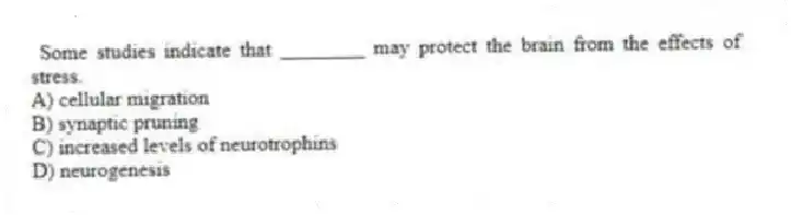 Some studies indicate that ________ may protect the brain from the effects of stress.
A) cellular migration
B) synaptic pruning
C) increased levels of neurotrophins
D) neurogenesis