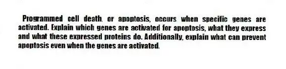 Programmed cell death, or apoptosis, occurs when specific genes are activated. Explain which genes are activated for apoptosis, what they express and what these expressed proteins do. Additionally, explain what can prevent apoptosis even when the genes are activated.