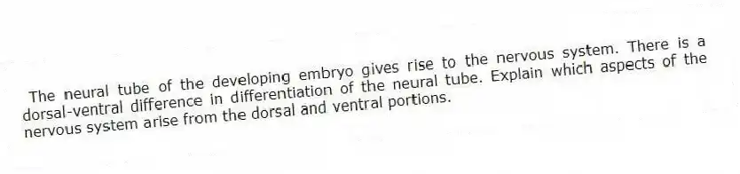 The neural tube of the developing embryo gives rise to the nervous system. There is a dorsal-ventral difference in differentiation of the neural tube. Explain which aspects of the nervous system arise from the dorsal and ventral portions.