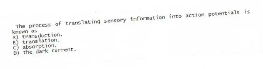 The process of translating sensory information into action potentials is known as
A) transduction.
B) translation.
C) absorption.
D) the dark current.
