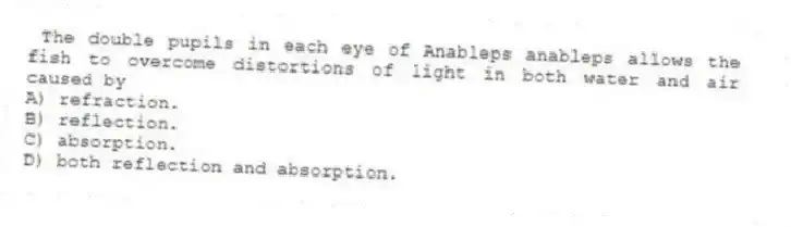 The double pupils in each eye of Anableps anableps allows the fish to overcome distortions of light in both water and air caused by
A) refraction.
B) reflection.
C) absorption.
D) both reflection and absorption.