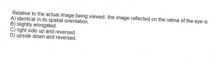 Relative to the actual image being viewed, the image reflected on the retina of the eye is
A) identical in its spatial orientation.
B) slightly elongated.
C) right side up and reversed.
D) upside down and reversed.