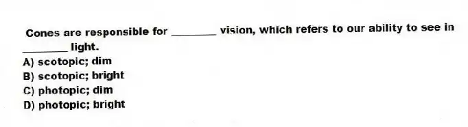 Cones are responsible for _________ vision, which refers to our ability to see in _________ light.
A) scotopic; dim
B) scotopic; bright
C) photopic; dim
D) photopic; bright