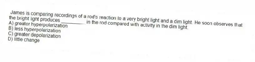 James is comparing recordings of a rod's reaction to a very bright light and a dim light. He soon observes that the bright light produces _________ in the rod compared with activity in the dim light.
A) greater hyperpolarization
B) less hyperpolarization
C) greater depolarization
D) little change