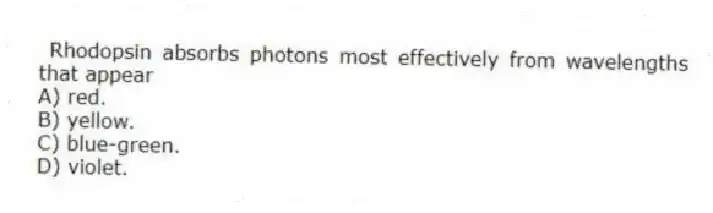 Rhodopsin absorbs photons most effectively from wavelengths that appear
A) red.
B) yellow.
C) blue-green.
D) violet.
