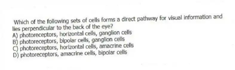  Which of the following sets of cells forms a direct pathway for visual information and lies perpendicular to the back of the eye?
A) photoreceptors, horizontal cells, ganglion cells
B) photoreceptors, bipolar cells, ganglion cells
C) photoreceptors, horizontal cells, amacrine cells
D) photoreceptors, amacrine cells, bipolar cells