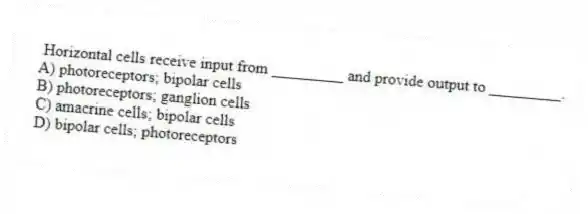 Horizontal cells receive input from _________ and provide output to _________.
A) photoreceptors; bipolar cells
B) photoreceptors; ganglion cells
C) amacrine cells; bipolar cells
D) bipolar cells; photoreceptors