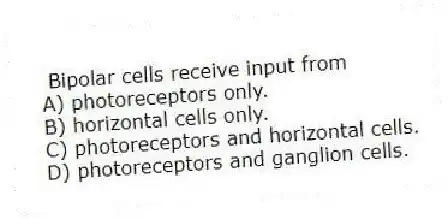Bipolar cells receive input from
A) photoreceptors only.
B) horizontal cells only.
C) photoreceptors and horizontal cells.
D) photoreceptors and ganglion cells.