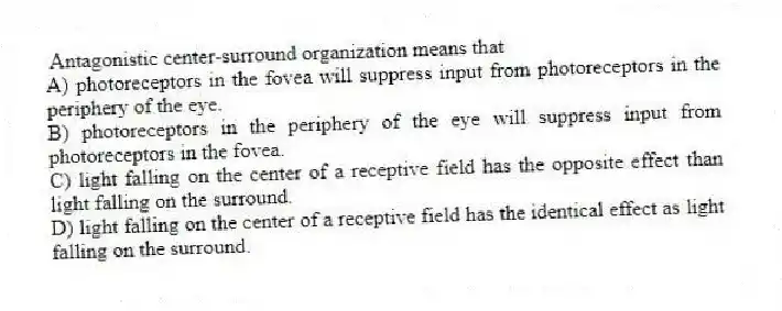 Antagonistic center-surround organization means that
A) photoreceptors in the fovea will suppress input from photoreceptors in the periphery of the eye.
B) photoreceptors in the periphery of the eye will suppress input from photoreceptors in the fovea.
C) light falling on the center of a receptive field has the opposite effect than light falling on the surround.
D) light falling on the center of a receptive field has the identical effect as light falling on the surround.
