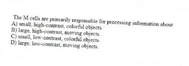 The M cells are primarily responsible for processing information about
A) small, high-contrast, colorful objects.
B) large, high-contrast, moving objects.
C) small, low-contrast, colorful objects.
D) large, low-contrast, moving objects.