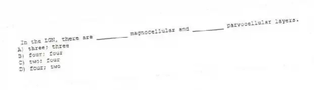  In the LGN, there are _________ magnocellular and _________ parvocellular layers.
A) three; three
B) four; four
C) two; four
D) four; two