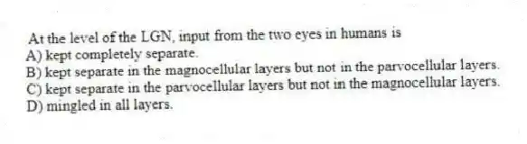 At the level of the LGN, input from the two eyes in humans is
A) kept completely separate.
B) kept separate in the magnocellular layers but not in the parvocellular layers.
C) kept separate in the parvocellular layers but not in the magnocellular layers.
D) mingled in all layers.
