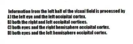 Information from the left half of the visual field is processed by
A) the left eye and the left occipital cortex.
B) both the right and left occipital cortices.
C) both eyes and the right hemisphere occipital cortex.
D) both eyes and the left hemisphere occipital cortex.