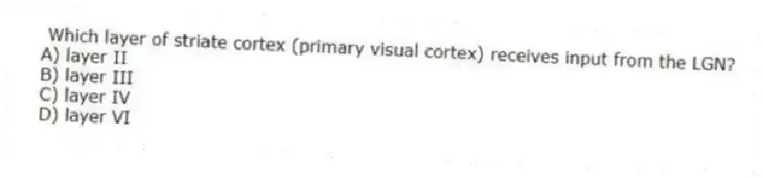 Which layer of striate cortex (primary visual cortex) receives input from the LGN?
A) layer II
B) layer III
C) layer IV
D) layer VI