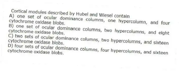 Cortical modules described by Hubel and Wiesel contain
A) one set of ocular dominance columns, one hypercolumn, and four cytochrome oxidase blobs.
B) one set of ocular dominance columns, two hypercolumns, and eight cytochrome oxidase blobs.
C) two sets of ocular dominance columns, two hypercolumns, and sixteen cytochrome oxidase blobs.
D) four sets of ocular dominance columns, four hypercolumns, and sixteen cytochrome oxidase blobs.