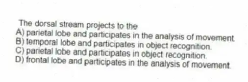 The dorsal stream projects to the
A) parietal lobe and participates in the analysis of movement.
B) temporal lobe and participates in object recognition.
C) parietal lobe and participates in object recognition.
D) frontal lobe and participates in the analysis of movement.