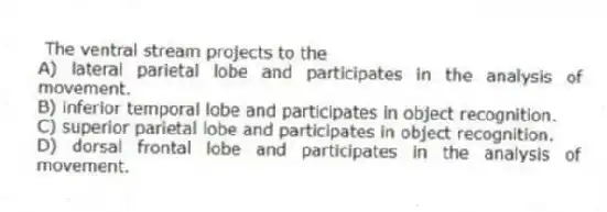 The ventral stream projects to the
A) lateral parietal lobe and participates in the analysis of movement.
B) inferior temporal lobe and participates in object recognition.
C) superior parietal lobe and participates in object recognition.
D) dorsal frontal lobe and participates in the analysis of movement.