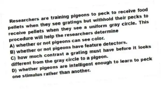 Researchers are training pigeons to peck to receive food pellets when they see gratings but withhold their pecks to receive pellets when they see a uniform gray circle. This procedure will help the researchers determine
A) whether or not pigeons can see color.
B) whether or not pigeons have feature detectors.
C) how much contrast a grating must have before it looks different from the gray circle to a pigeon.
D) whether pigeons are intelligent enough to learn to peck one stimulus rather than another.