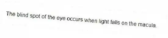 The blind spot of the eye occurs when light falls on the macula.