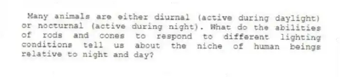 Many animals are either diurnal (active during daylight) or nocturnal (active during night). What do the abilities of rods and cones to respond to different lighting conditions tell us about the niche of human beings relative to night and day?